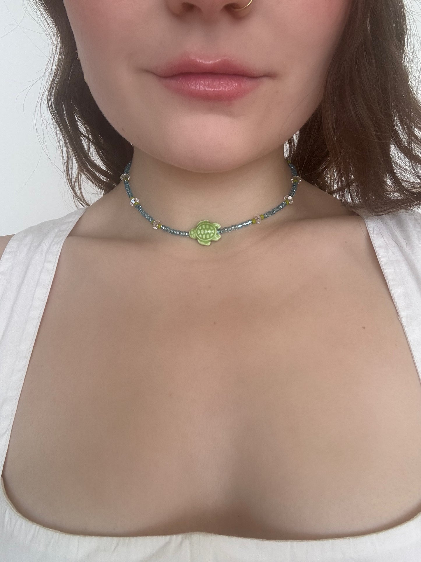 East Australian Current Choker